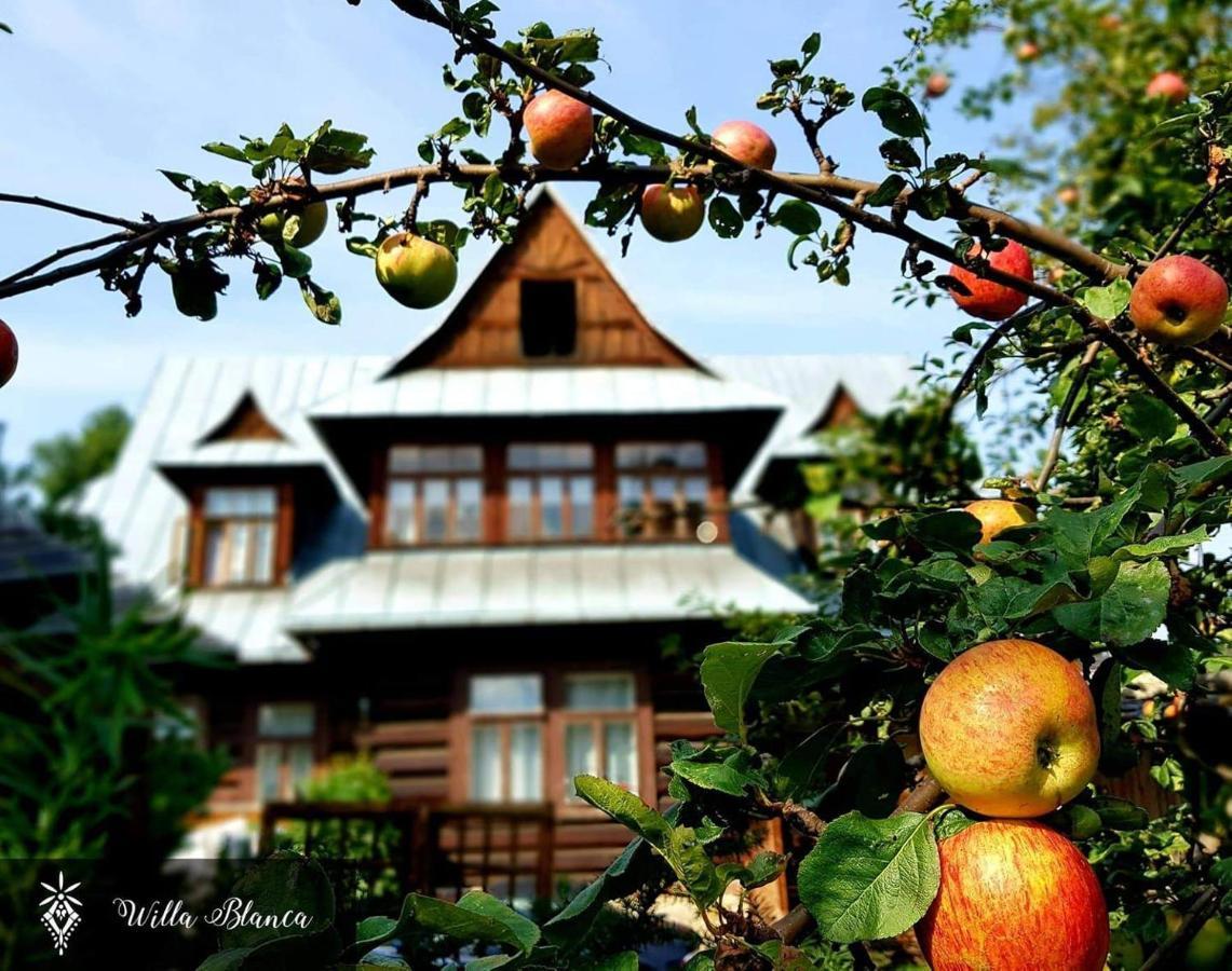 Willa Blanca Zakopane Bed & Breakfast Exterior photo